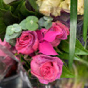 Meet your Posher, Madison